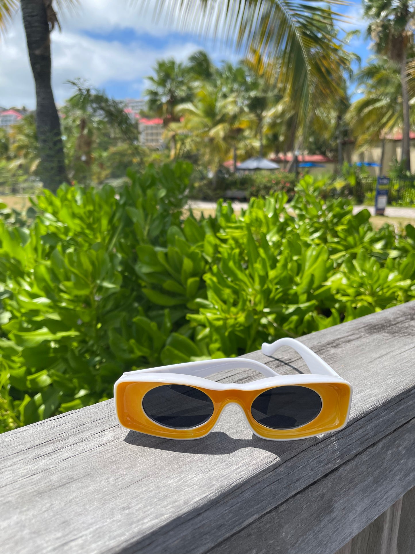 HGS Sunglasses