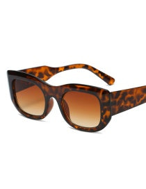 Cheetah Print Sunglasses